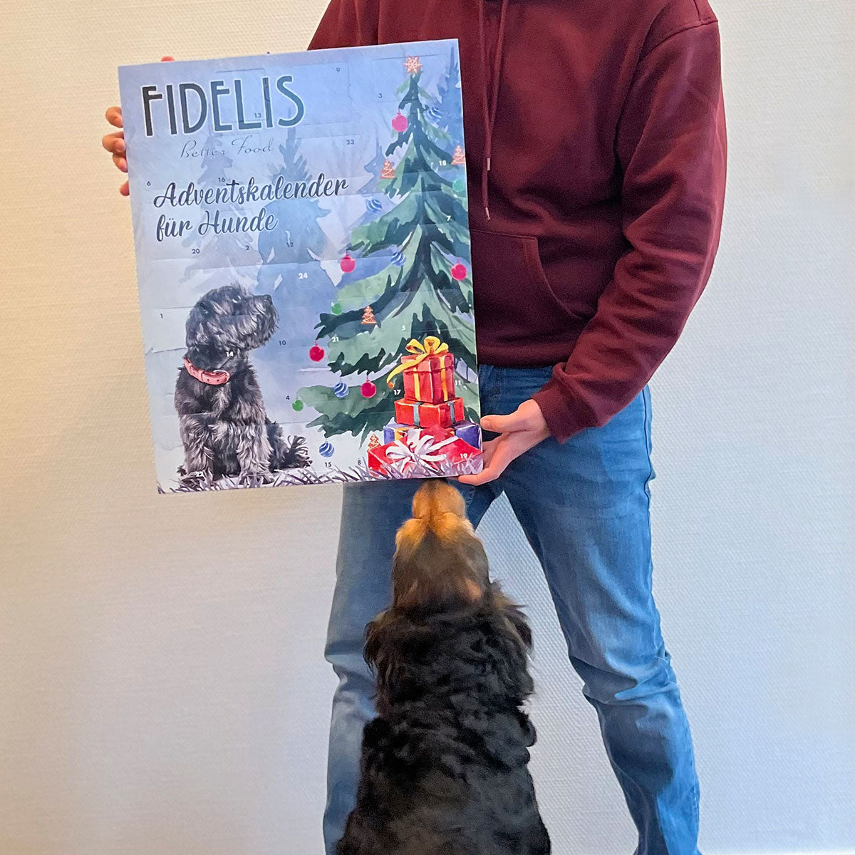 Calendrier de l'Avent XL pour chiens