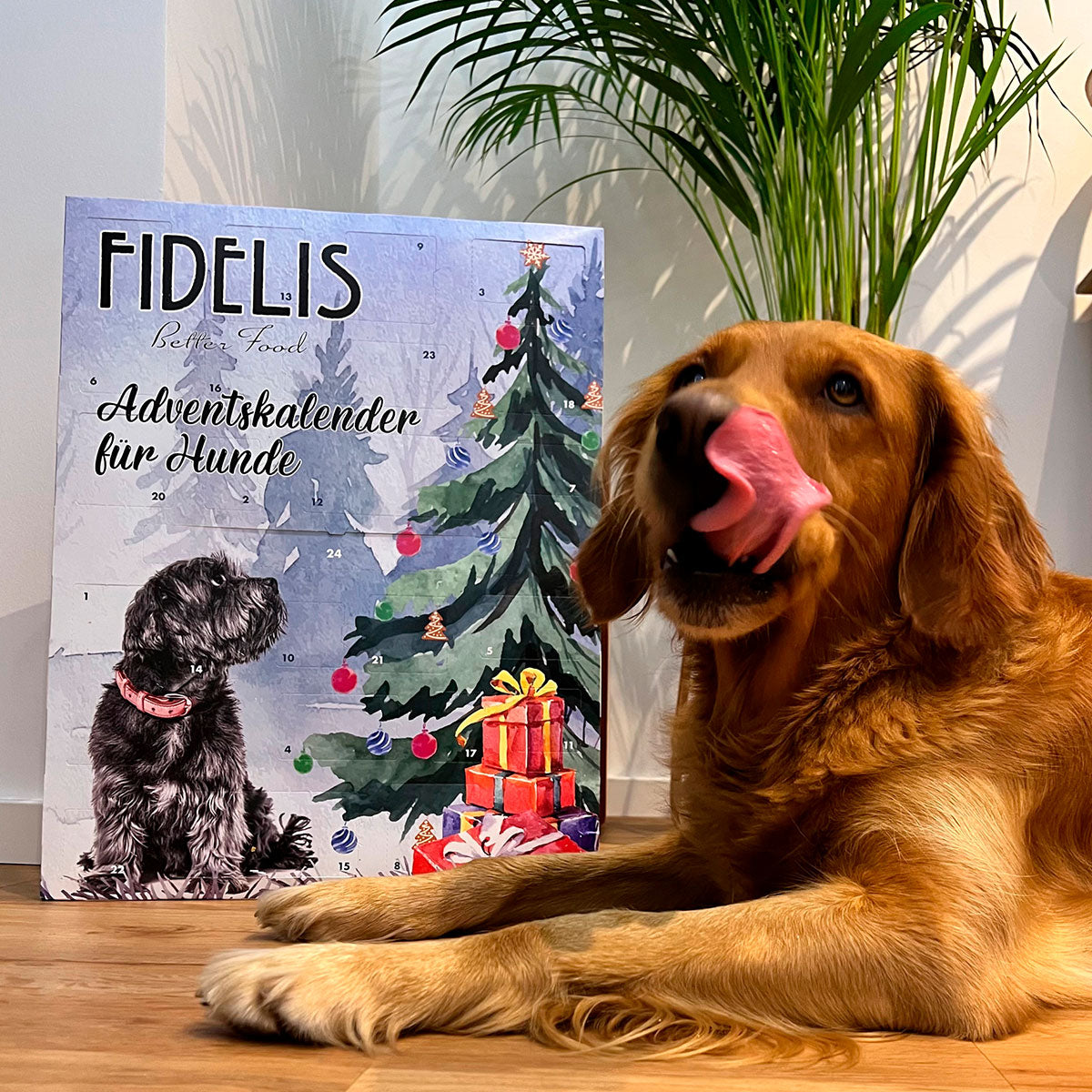 Calendrier de l'Avent XL pour chiens