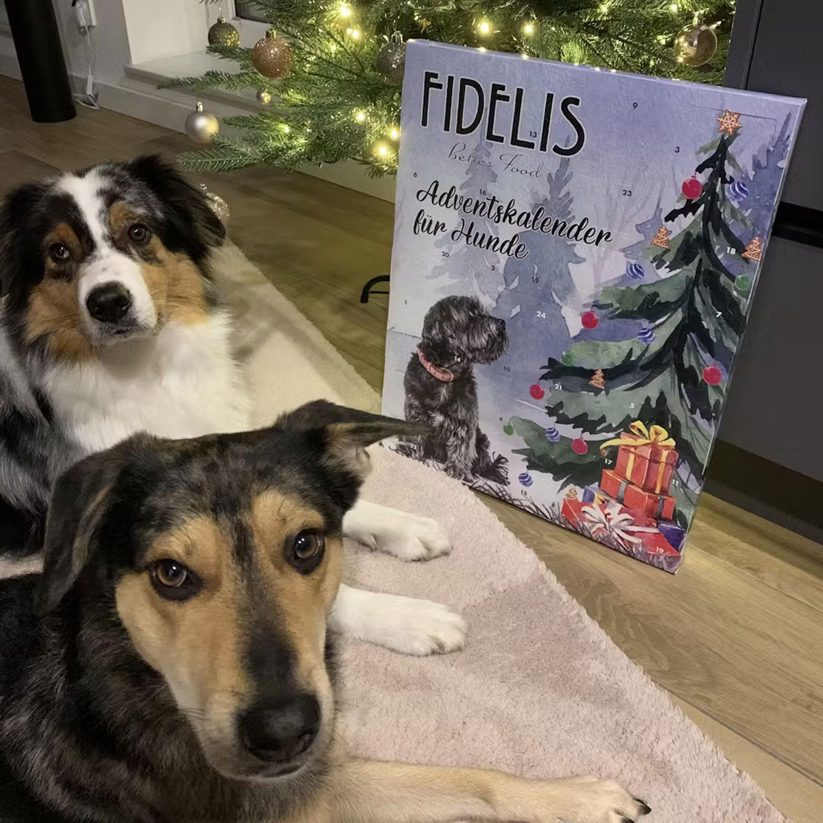 Calendrier de l'Avent XL pour chiens