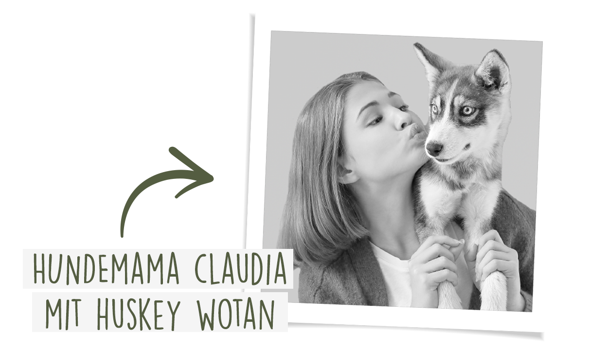 Aussi bon que du fait maison !