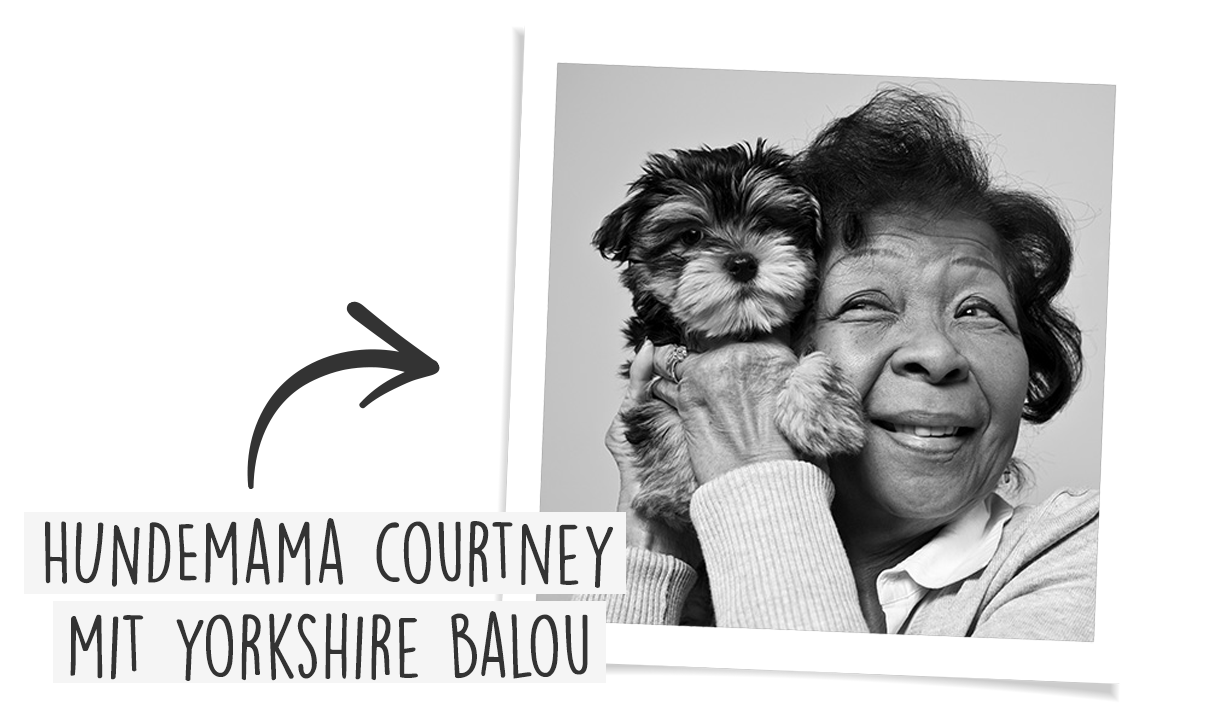 Meilleur que les croquettes