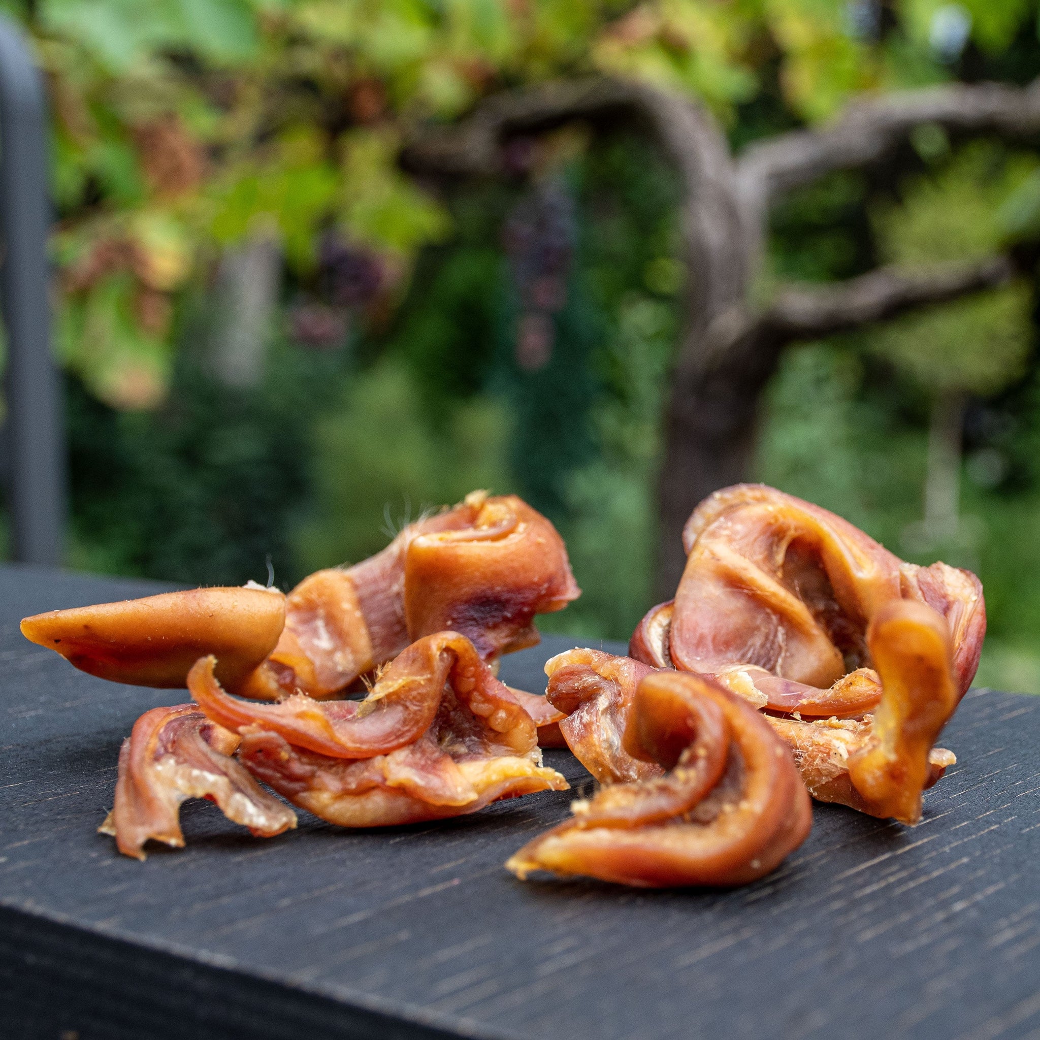 Bandes d'oreilles de porc