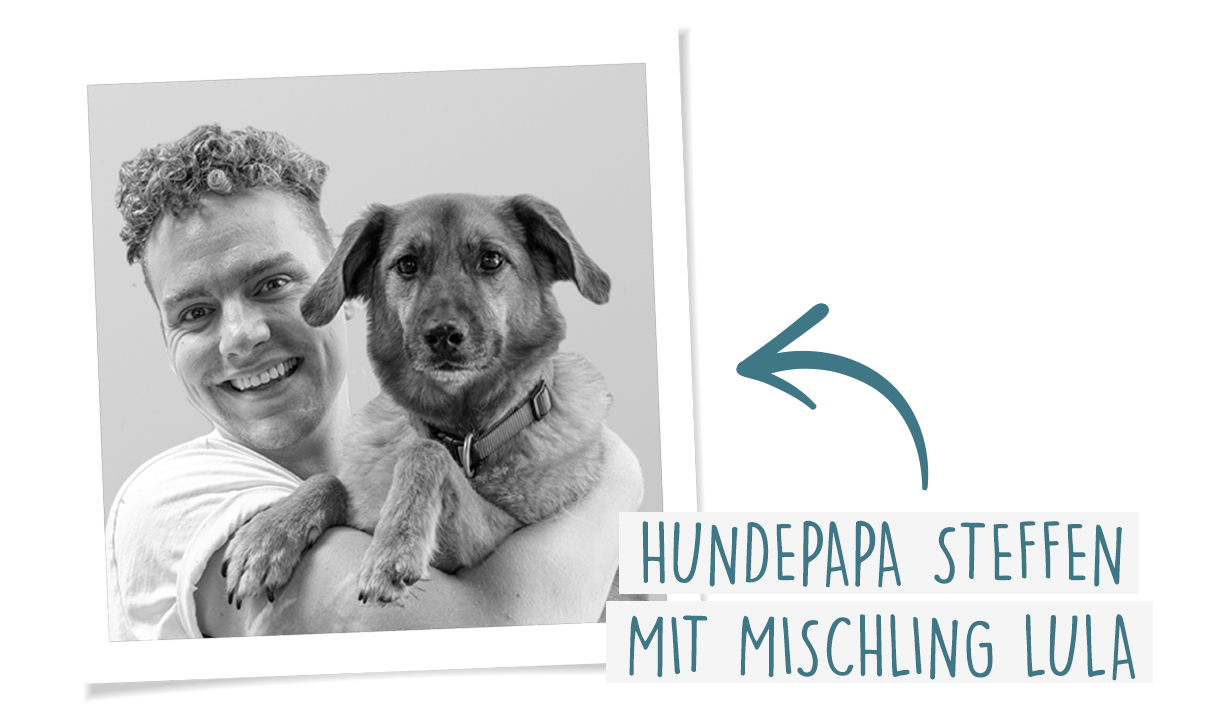 Meilleur que la pâtée en boîte