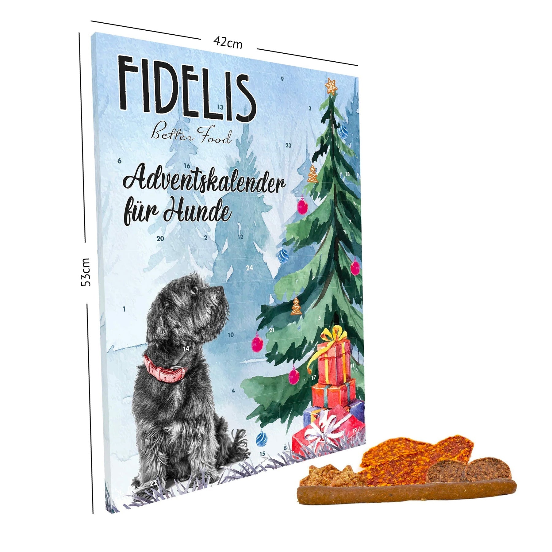 Fidelis Adventspaket #1